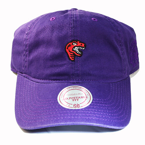 raptors throwback hat