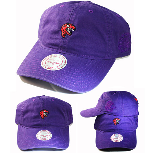 purple toronto raptors hat